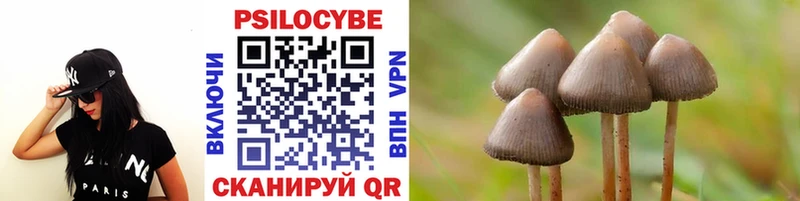 закладка  Куртамыш  Галлюциногенные грибы Psilocybine cubensis 